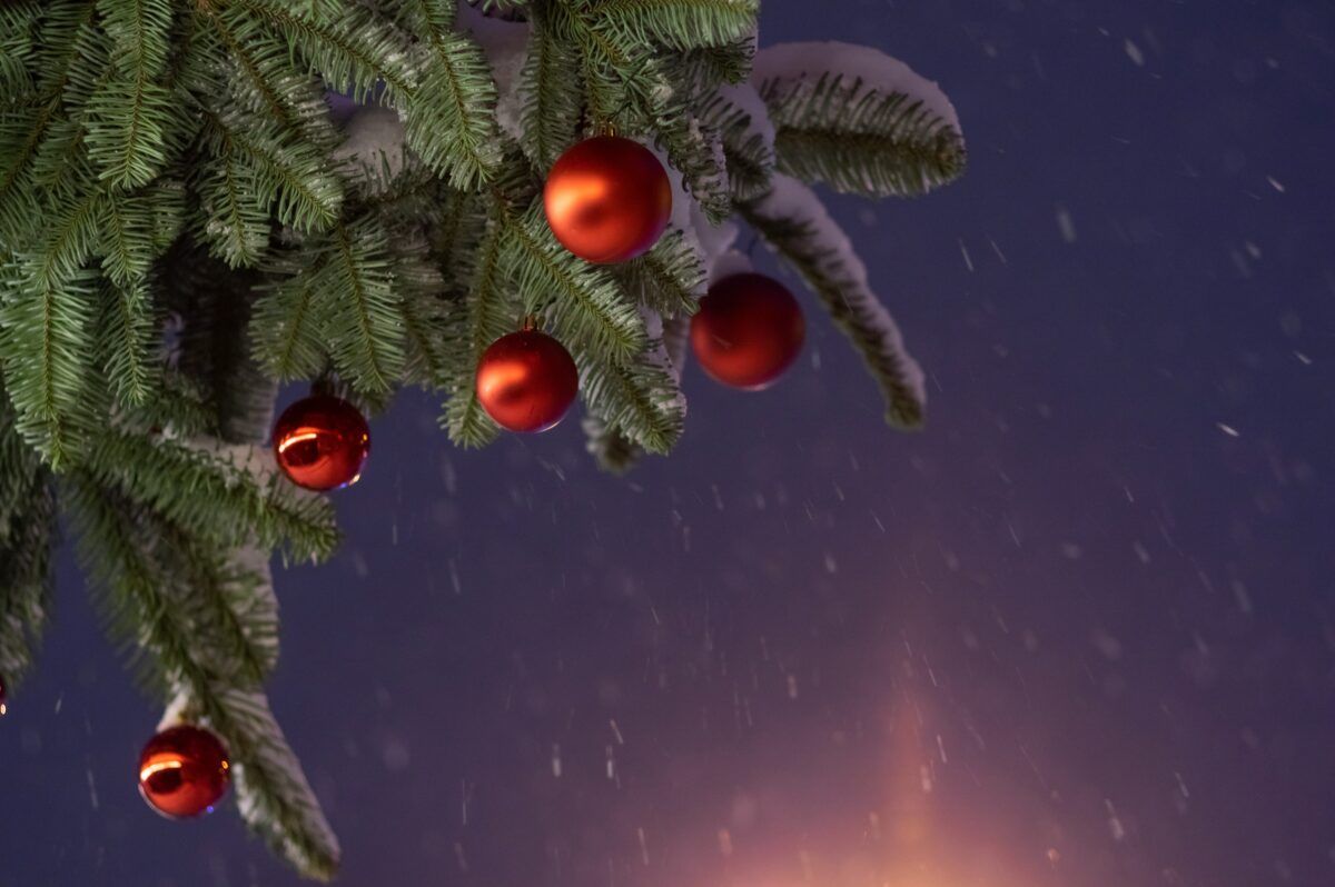 elena-mozhvilo-2D1tN3bKukY-unsplash