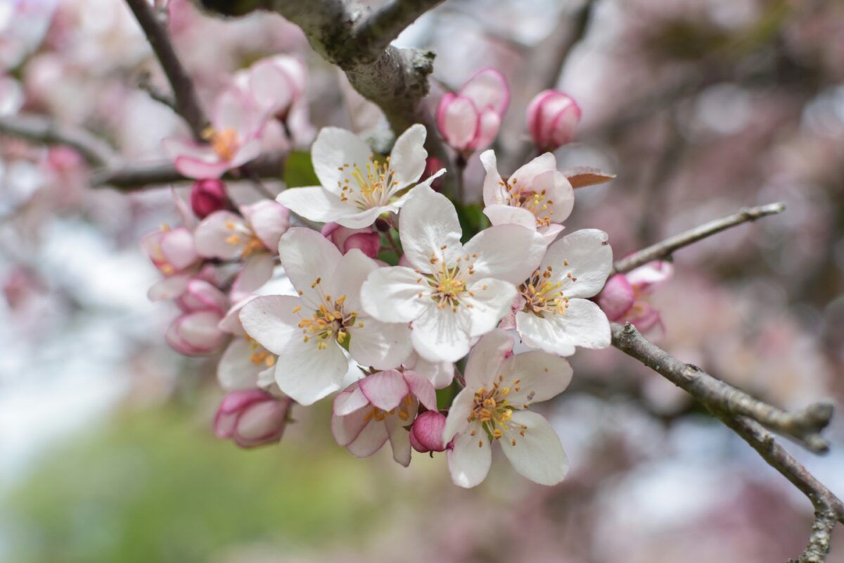 megan-huff-DanjdiJu1WA-unsplash