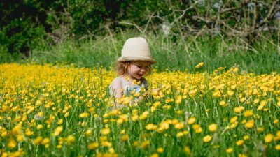 Våra öppettider under midsommarveckan