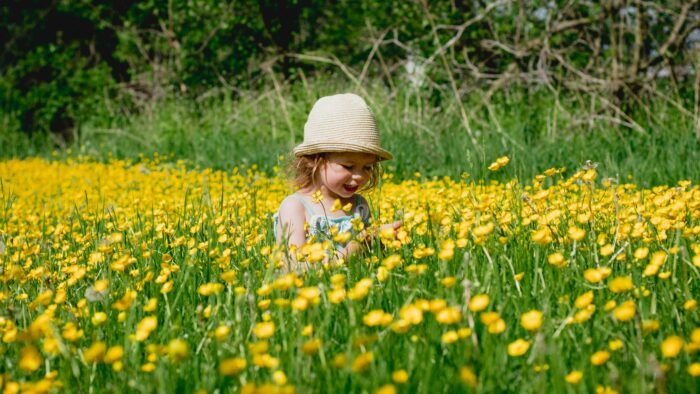Våra öppettider under midsommarveckan