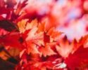 Jeremy Thomas Qw2cud 9owo Unsplash