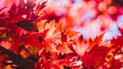Jeremy Thomas Qw2cud 9owo Unsplash