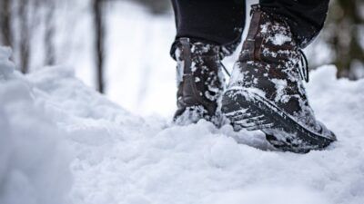 Pexels Alena 29505010