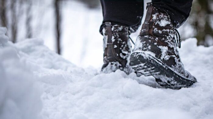 Pexels Alena 29505010